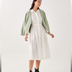 LoveBonito Odell Button Down Shirt Dress size XS NWT